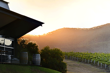 Cockfighters Ghost/ Pooles Rock Cellar Door